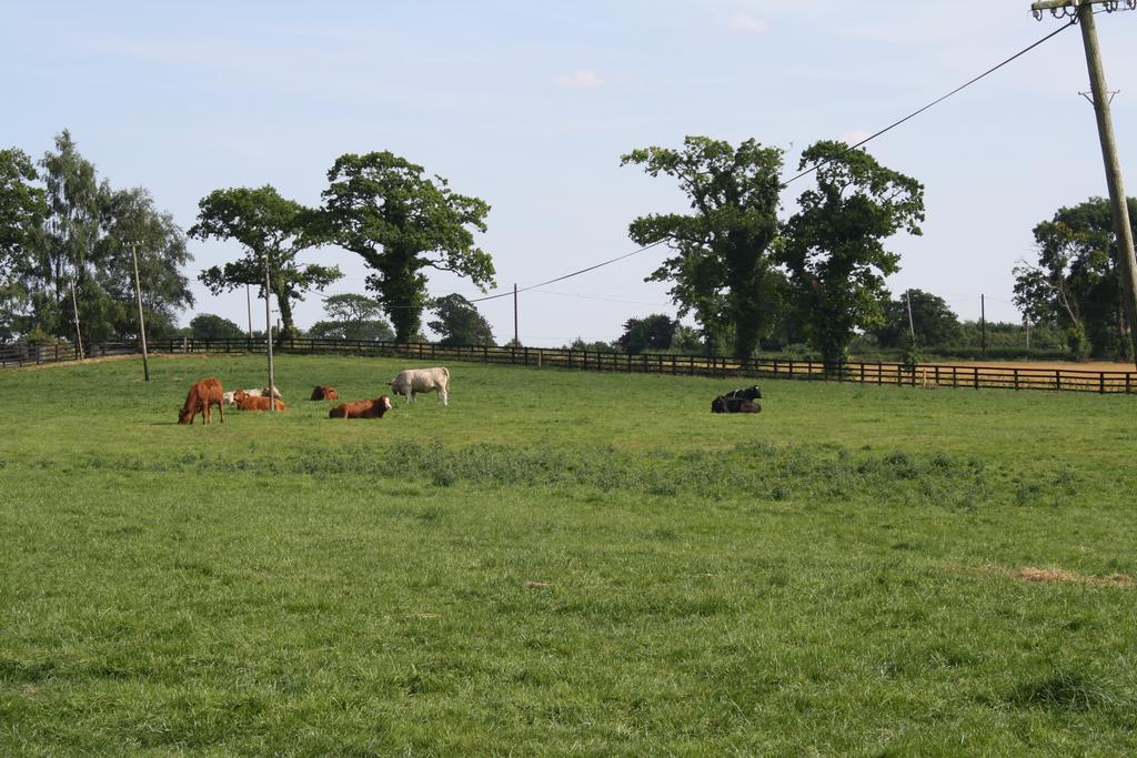 Moate Lodge Athy Εξωτερικό φωτογραφία