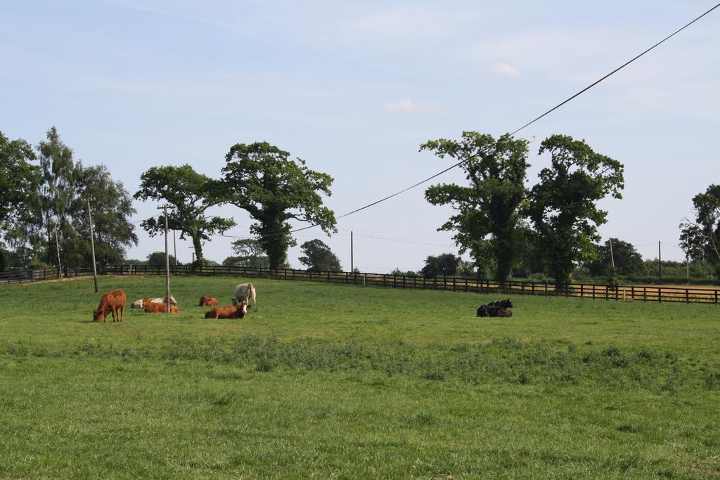 Moate Lodge Athy Εξωτερικό φωτογραφία